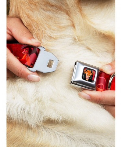 Crazy Deals Disney The Lion King Simba Scar Battle Scene Seatbelt Buckle Dog Collar $11.45 Pet Collars