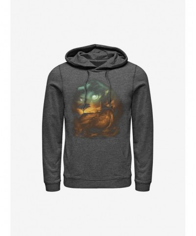 Pre-sale Disney The Lion King Birth Of A King Hoodie $12.57 Hoodies