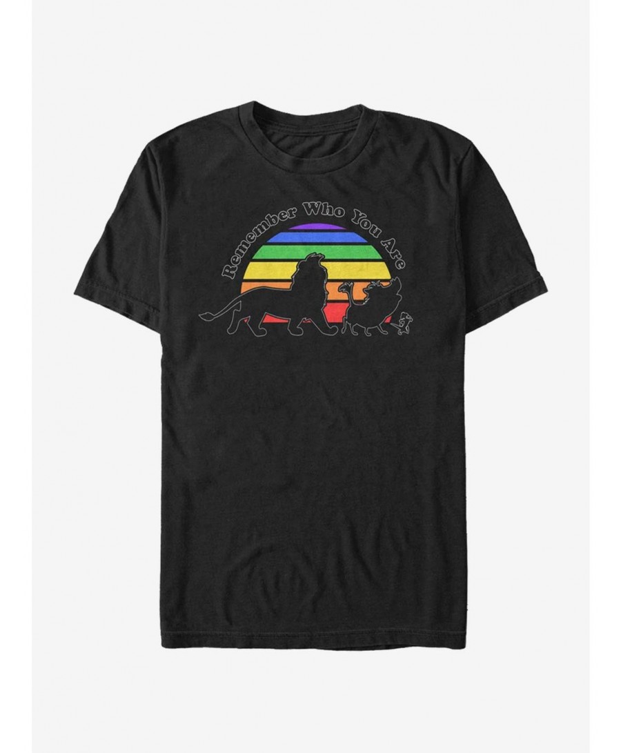 Wholesale Disney The Lion King Remember Rainbow T-Shirt $8.99 T-Shirts